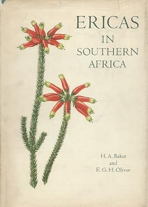 Ericas in Southern Africa