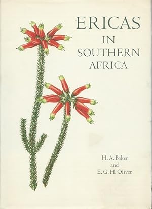 Ericas in Southern Africa