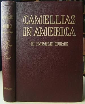 Camellias in America