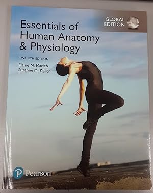 Essentials Of Human Anatomy Amp Physiology 12th International Edition Isbn 9781292216119 By