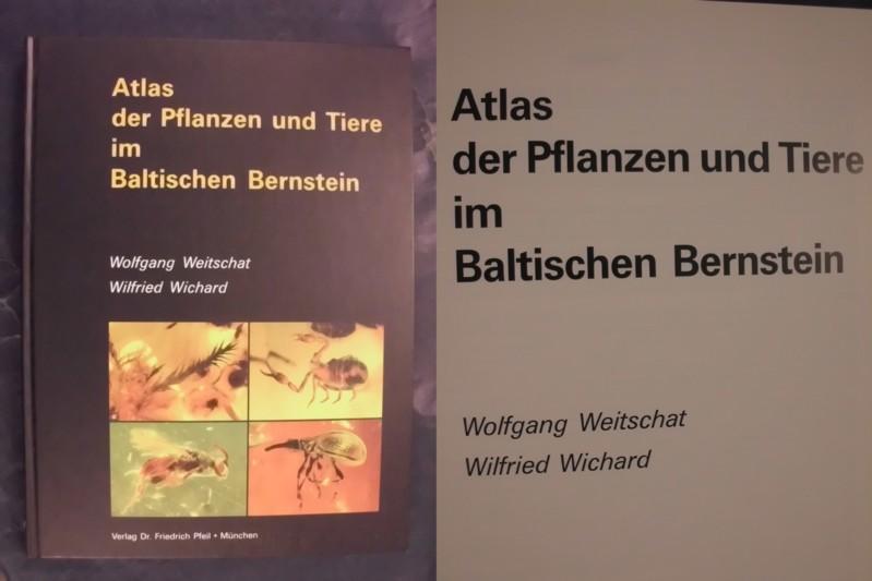 Atlas der Pflanzen und Tiere im Baltischen Bernstein