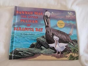 Hannah Mae The Little Pelican Of Sarasota Bay