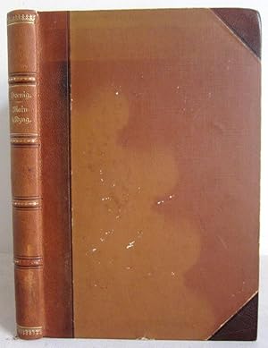 Die Entscheidungskämpfe des Mainfeldzuges an der Fränkischen Saale - Kissingen - Friedrichshall - Hammelburg - komplett - orig. Ausgabe von 1895