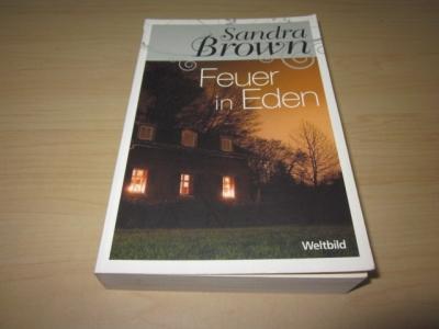 Feuer in Eden: Roman