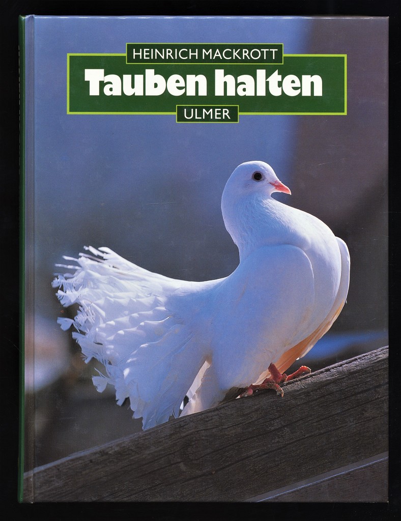 Tauben halten. - Mackrott, Heinrich