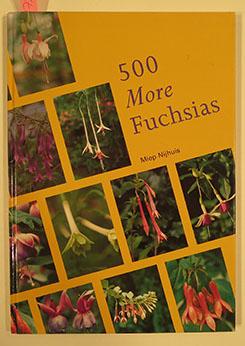 500 MORE FUCHSIAS