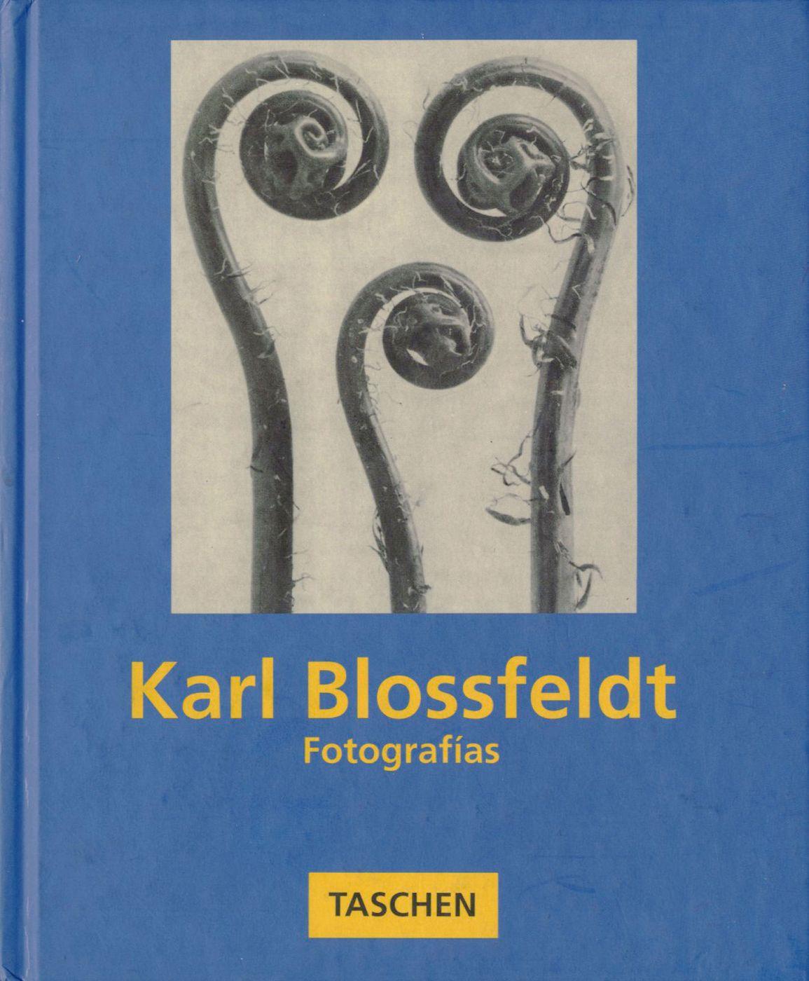 Karl Blossfeldt: Fotografías - BLOSSFELDT, Karl, SACHSSE, Rolf