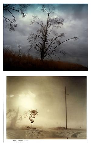 Todd Hido: A Road Divided, Limited Edition (with Type-C Print)