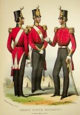 Historical Records of the British Army - The Thirty Ninth, or the Dorsetshire Regiment of Foot