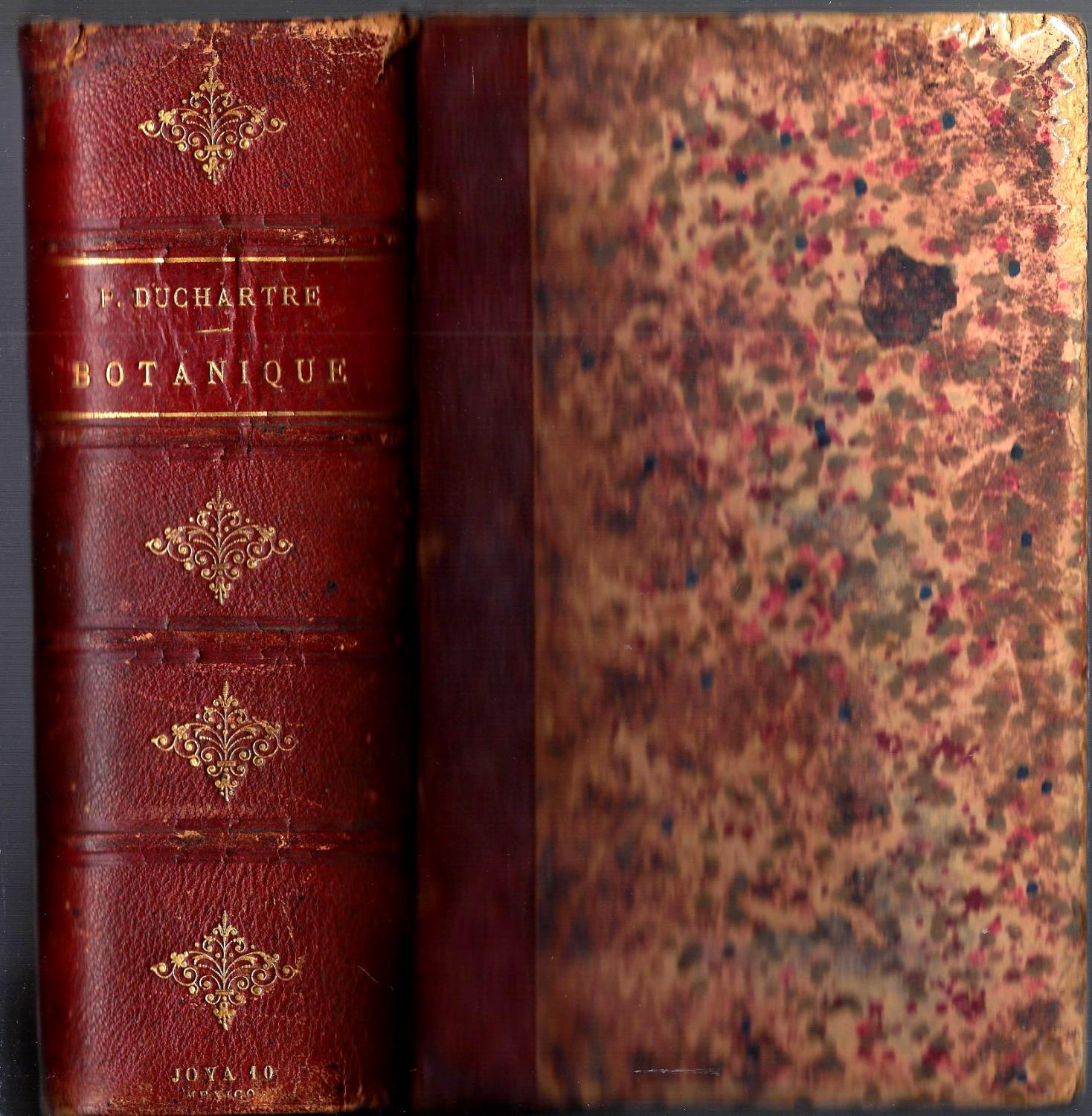 Familles des plantes (French Edition)