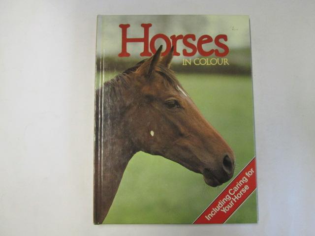 Horses - Churchill, Peter