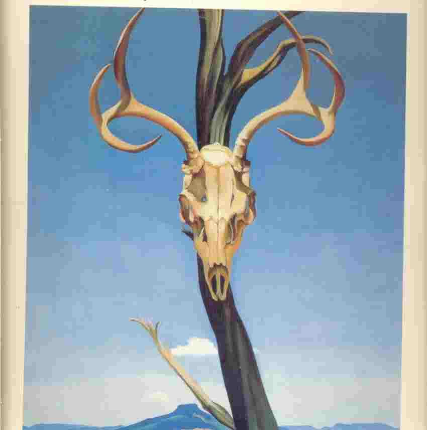 Georgia O'keeffe (Rizzoli Art Classics)