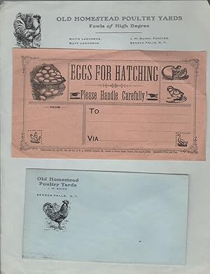 [Small Archive of a Mail Order Chicken Farm]