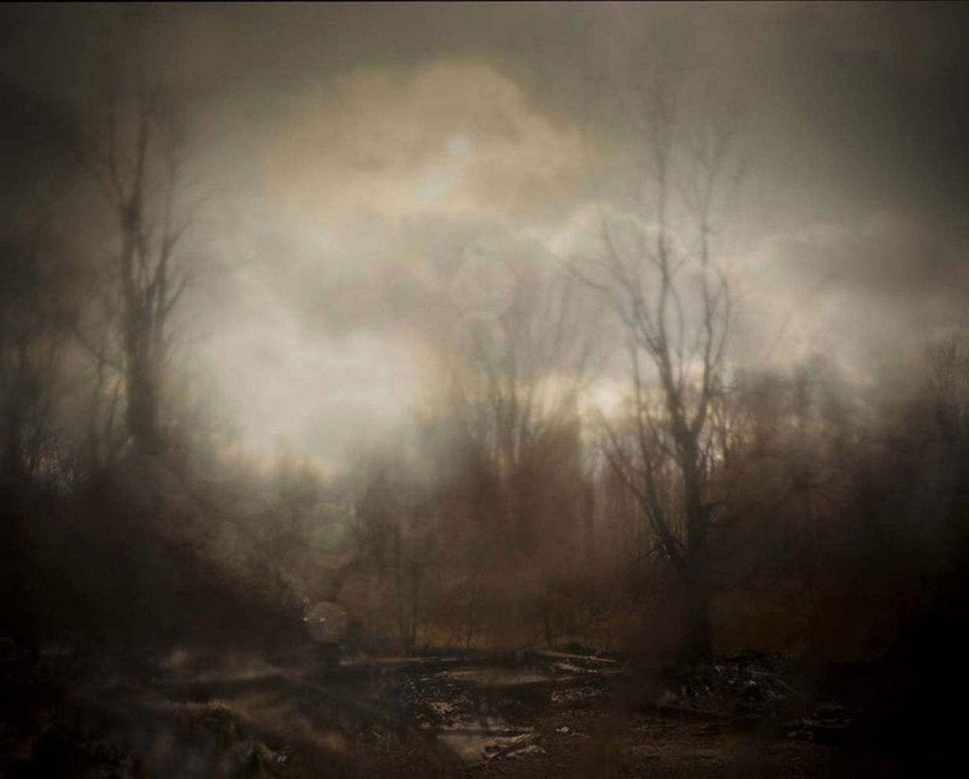 Todd Hido: Excerpts from Silver Meadows, 