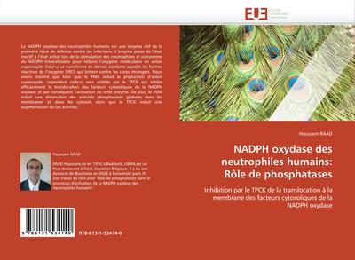 NADPH oxydase des neutrophiles humains: Rôle de phosphatases : Inhibition par le TPCK de la translocation à la membrane des facteurs cytosoliques de la NADPH oxydase - Houssam Raad