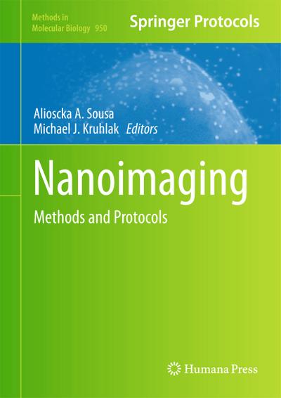 Nanoimaging : Methods and Protocols - Michael J. Kruhlak