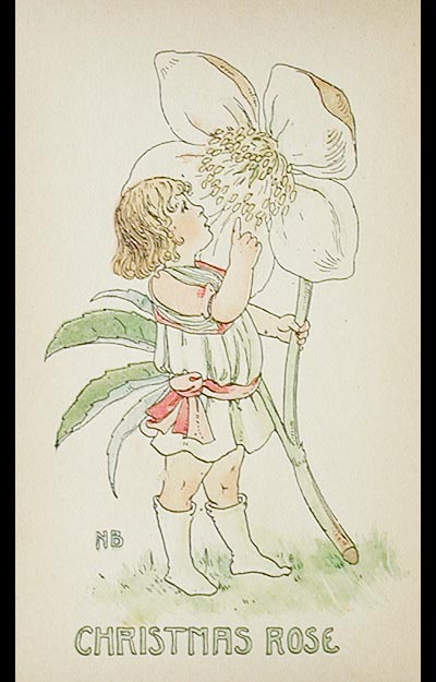 A Flower Book: the story by Eden Coybee; the pictures by Nellie Benson Coybee, Eden [Assez bon] [Couverture rigide]