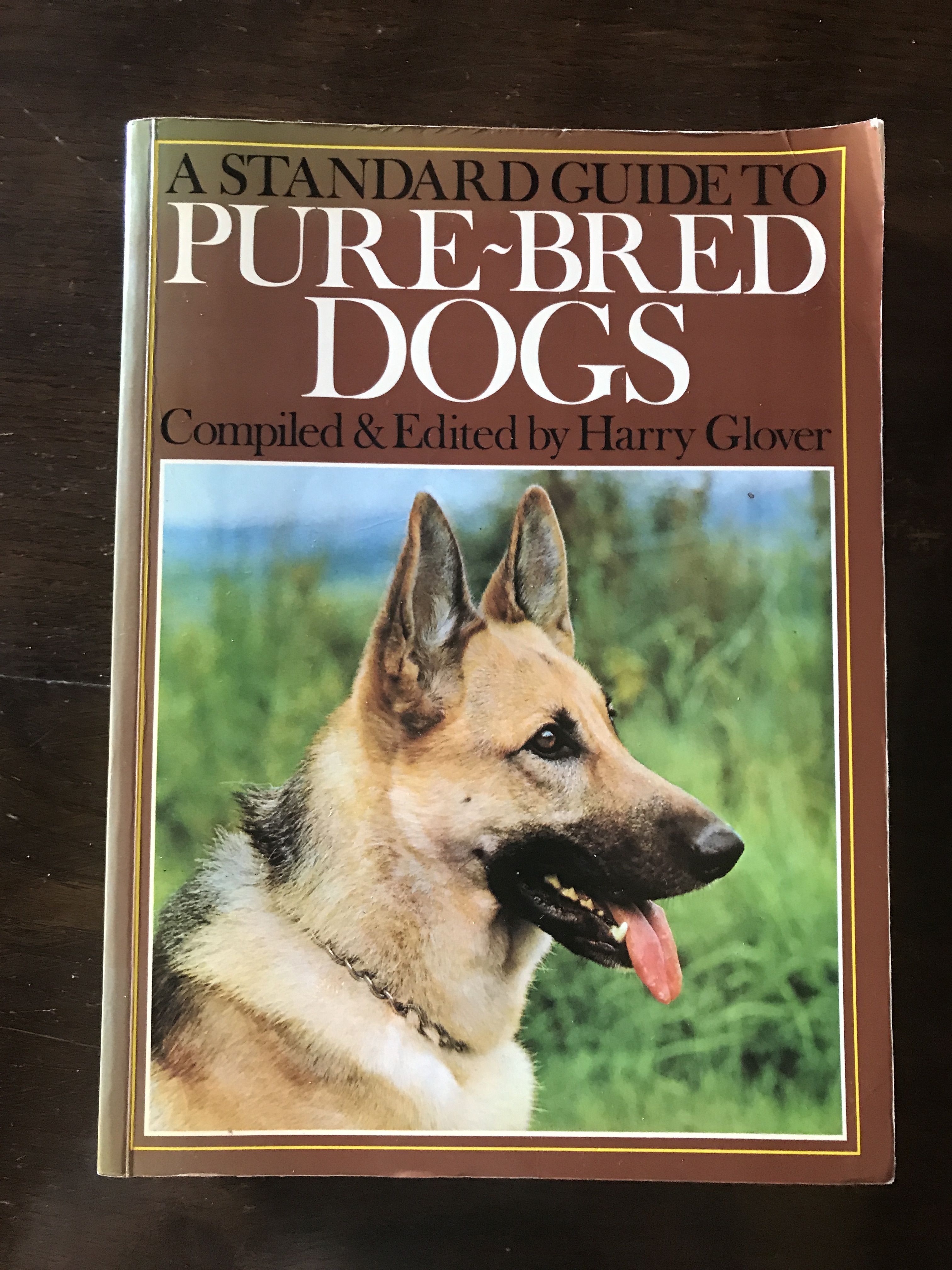 Guide to sale purebred dogs