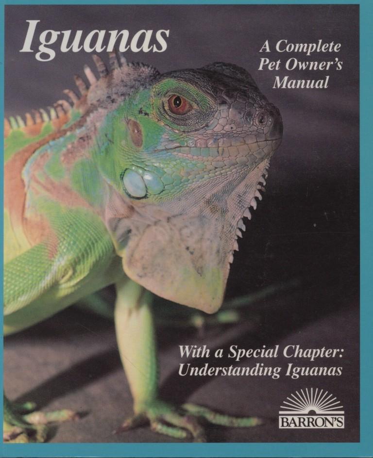 Iguanas Everything About Selection, Care, Nutrition, Diseases