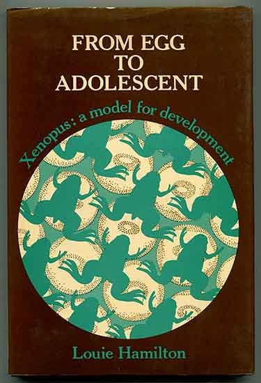 From Egg to Adolescent: Xenopus -- a model for development - Hamilton, Louie