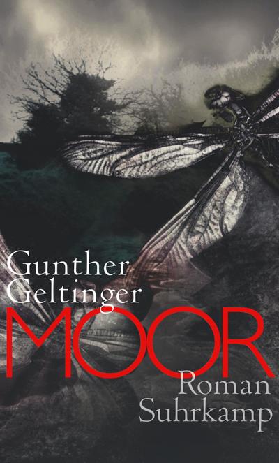 Moor - Gunther Geltinger