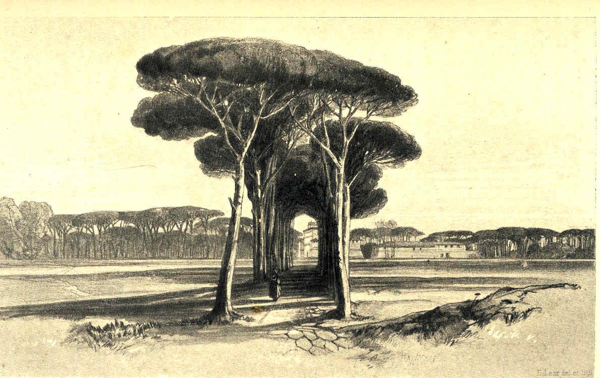 Letters of Edward Lear : Author of 