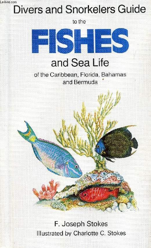 DIVERS AND SNORKELERS GUIDE TO THE FISHES AND SEA LIFE OF THE CARIBBEAN, FLORIDA, BAHAMAS, AND BERMUDA - STOKES F. JOSEPH, STOKES C. CHARLOTTE