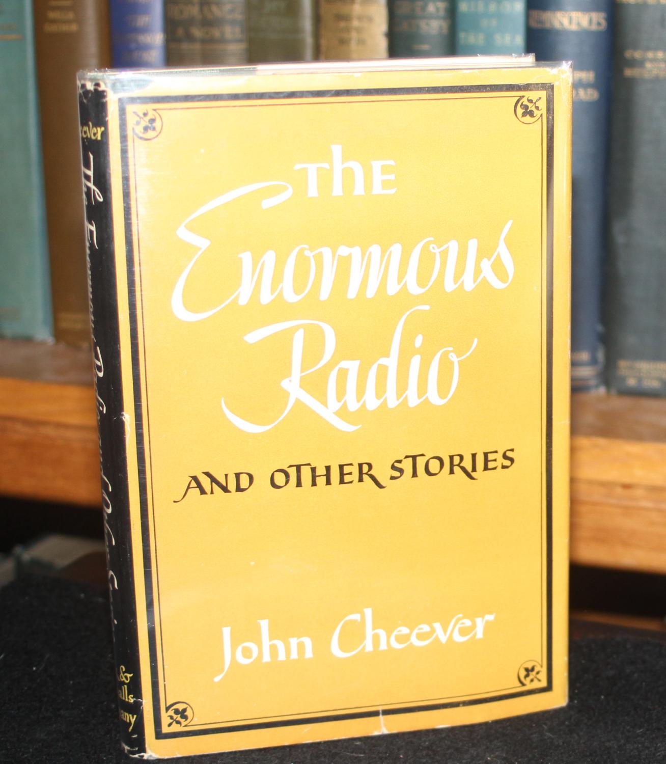 love radio novel love radio novel