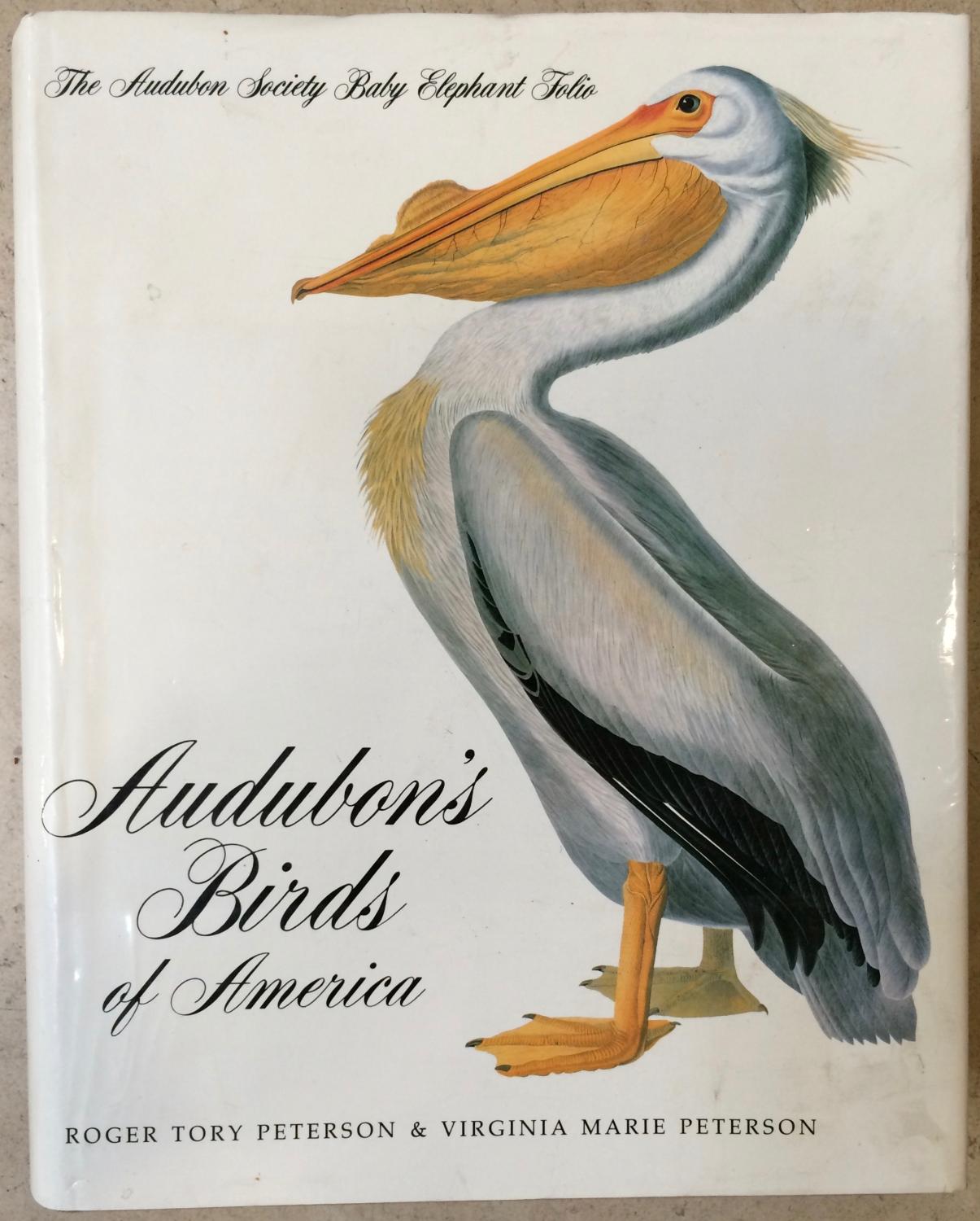 Audubon birds of america