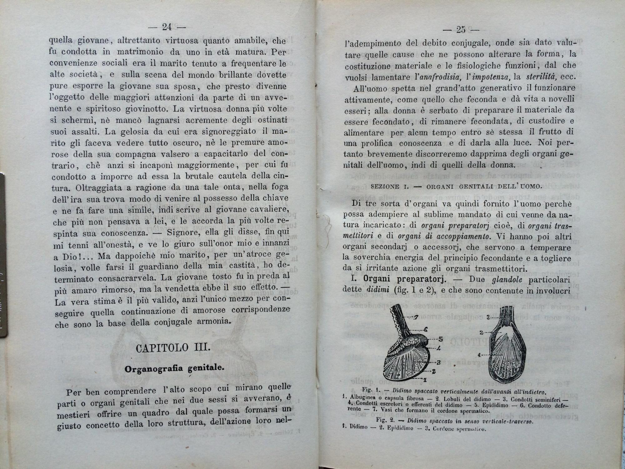 Igiene E Fisiologia Del Matrimonio Vol Unico Vellum By Ferdinando Tonini Vg For Age Vellum 1868 Leather Edition Appleford Bookroom Igiene E Fisiologia Del Matrimonio Vol Unico Vellum By Ferdinando Tonini Vg For Age Vellum 1868 Leather Edition Appleford Bookroom