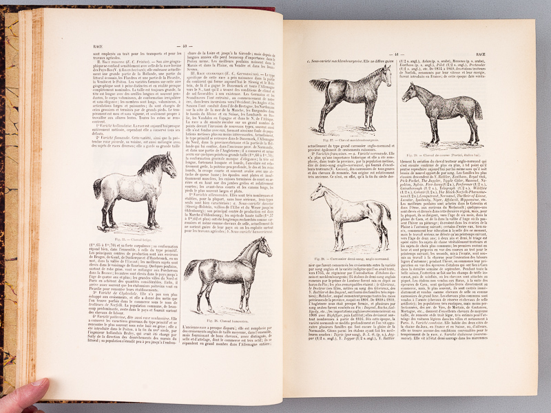 inventaire en 11 lettres