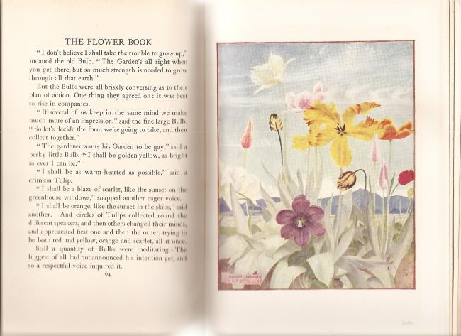 The Flower Book : being a Procession of Flowers passing from Meadow & Coppice through The Hedge to The Garden Pool and Herb Patch. Armfield, Constanc