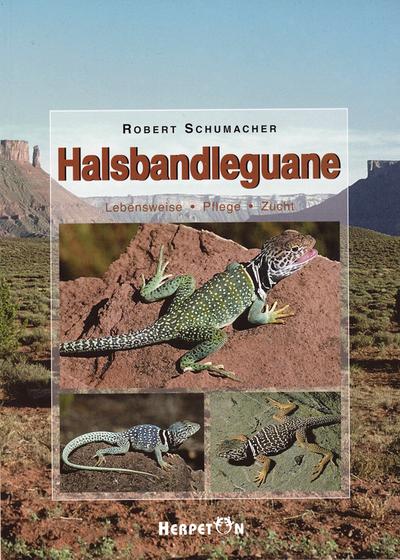 Halsbandleguane - Robert Schumacher