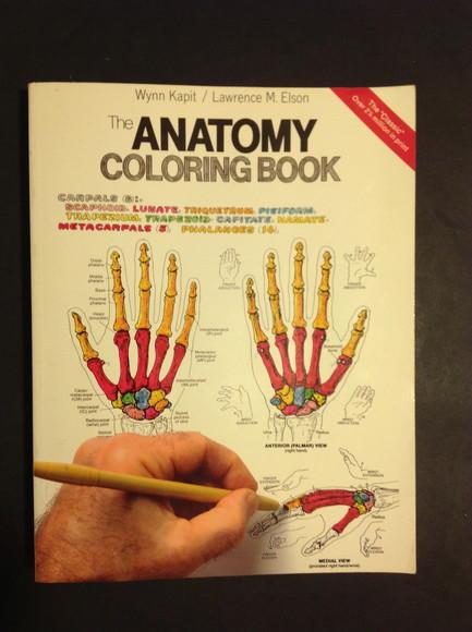 Anatomy Coloring Book  by Lawrence M Elson And Wynn Kapit 