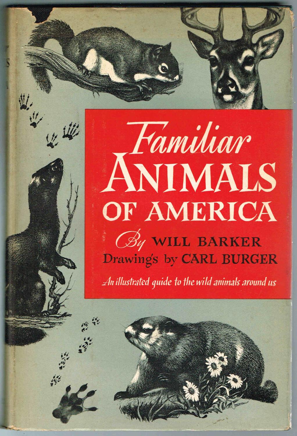 Familiar ANIMALS OF AMERICA: An illustrated guide to the wild animals  around us by Barker, Will: Good Hardcover (1956) 5th. | SUNSET BOOKS
