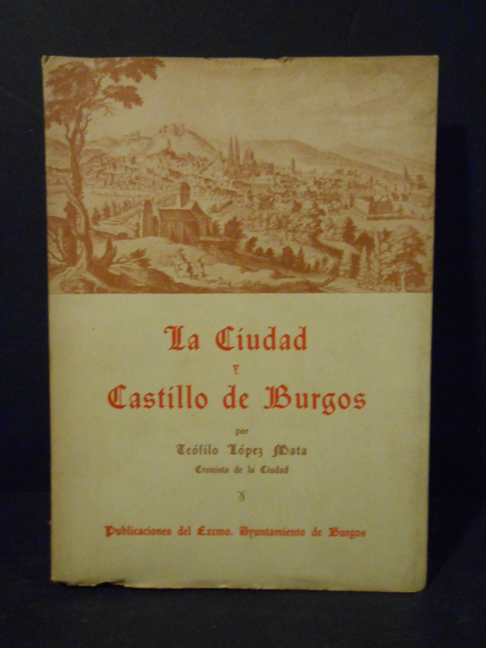 Ciudad y castillo de Burgos 