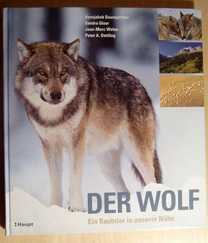 Der Wolf. Ein Raubtier in unserer Nähe. - Baumgartner, Hansjakob / Gloor, Sandra u.a.,