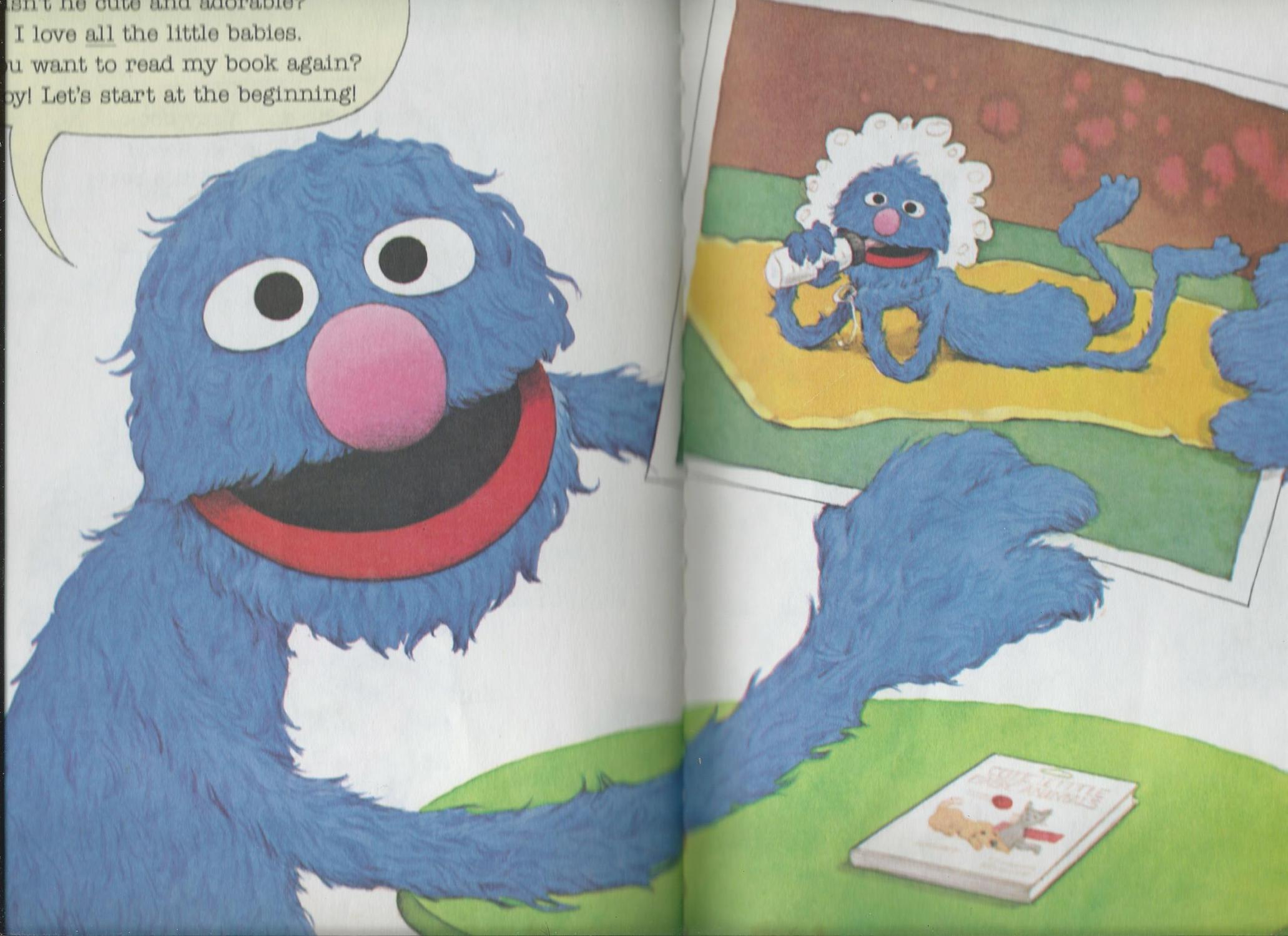 Grover S Book Of Cute Little Baby Animals Featuring Jim Henson S Sesame Street Muppets By Ford B G Leigh Tom Children S Television Workshop Very Good Hardcover 1980 Odds Ends Books
