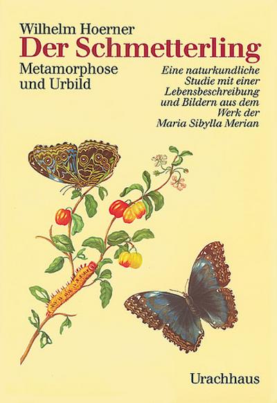 Der Schmetterling : Metamorphose und Urbild. Eine naturkundliche Studie mit einer Lebensbeschreibung und Bildern aus dem Werk der Maria Sibylla Merian - Wilhelm Hoerner