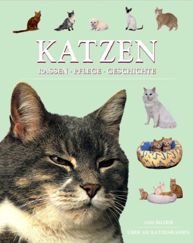 Katzen - Michael, Pollard