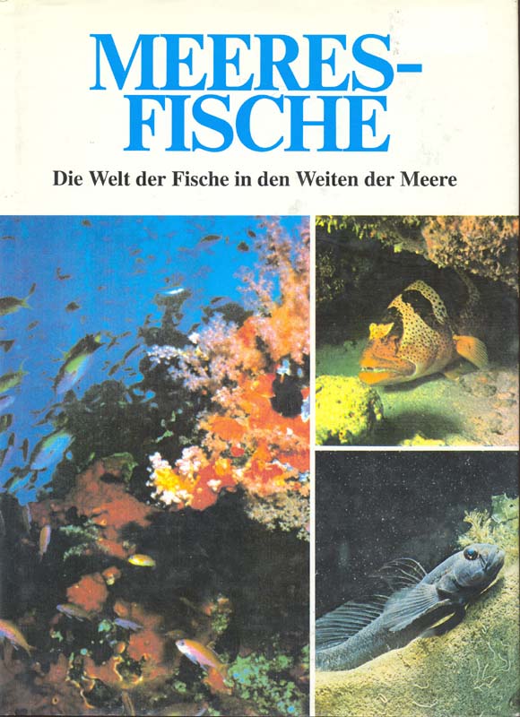 Meeresfische - Die Welt der Fische in den Weiten der Meere - Corsini-Neipp, Veronika