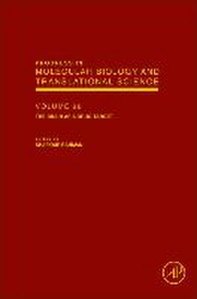 The Brain as a Drug Target: 98 (Progress in Molecular Biology and Translational Science) (Progress in Molecular Biology & Translational Science)