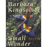 Small Wonder (Walker Large Print Books)