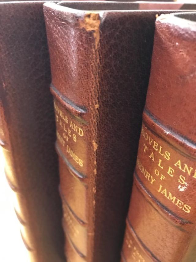 THE NOVEL AND TALES OF HENRY JAMES, New York Edition [26