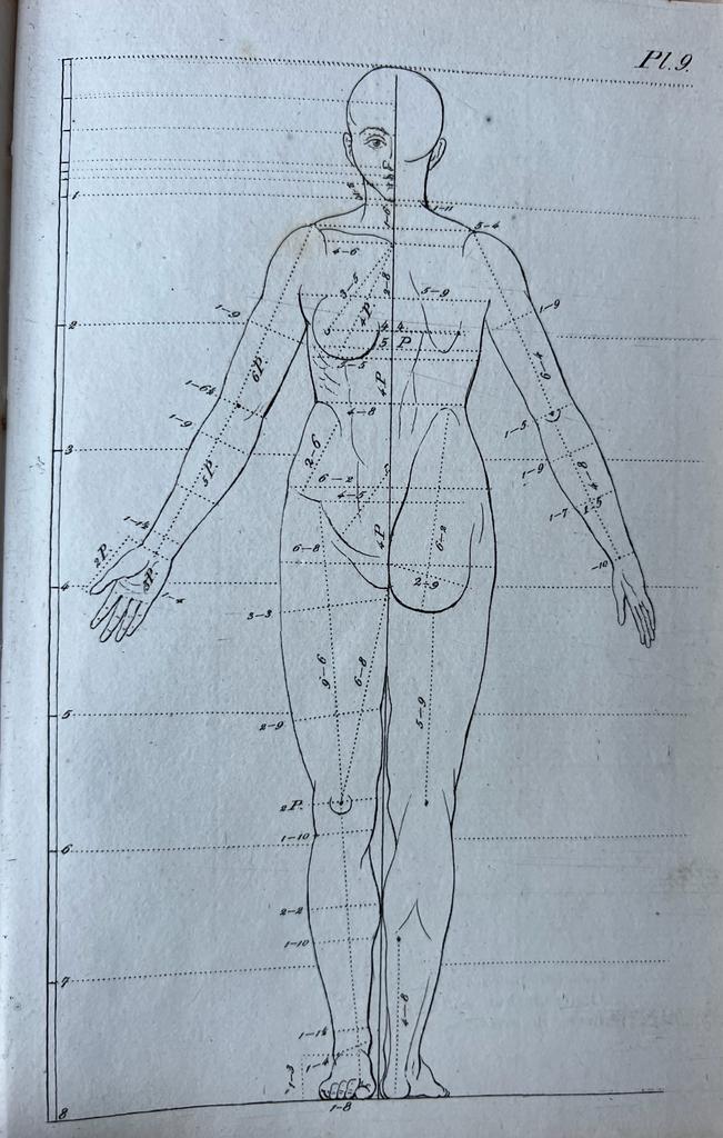 [Art history, painting proportion] Proportie van het menschelijke ligchaam, volgens uitmeting op de antieken. Amsterdam, Weytingh & v.d. Haart, 1841.