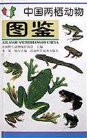 Atlas of Amphibians of China (In Chinese with Latin,English name index)(Chinese Edition) - Fei liang