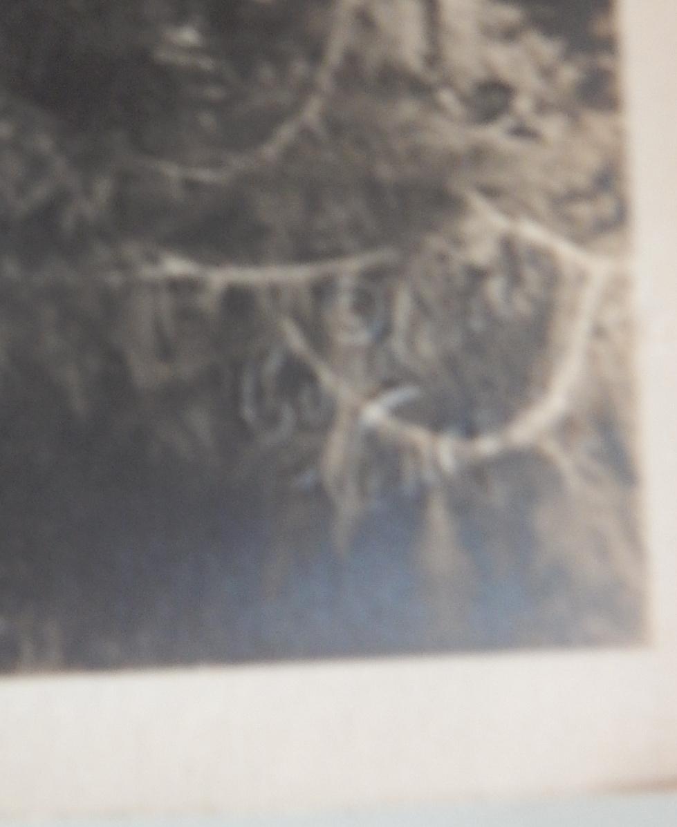 Tower of Jewels viewed through garden. Original photo Pan Pacific