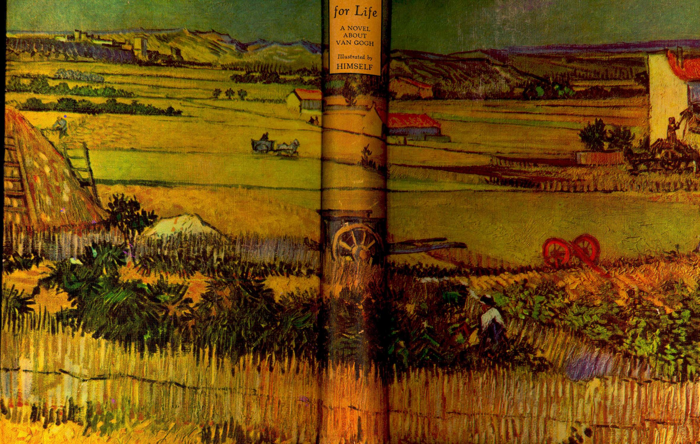 lust for life book van gogh lust for life book van gogh