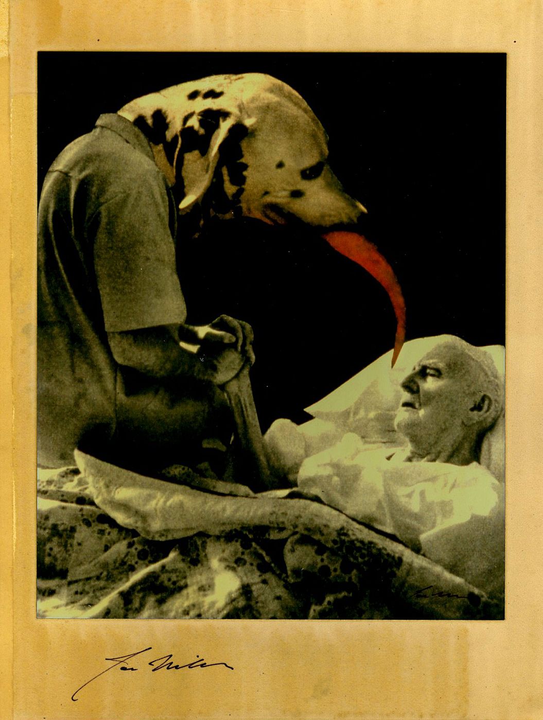 Joseph Mills: The Loves of the Poets, Limited Edition (with