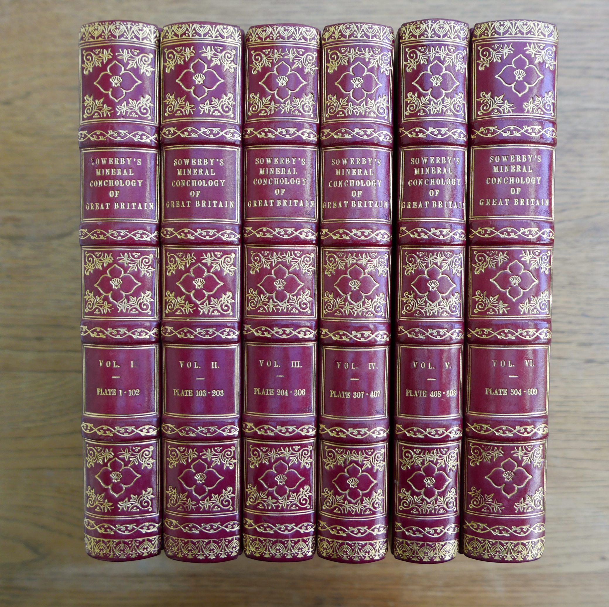 The Mineral Conchology of Great Britain; or: Coloured Figures and Descriptions of those remains of Testaceous Animals or Shells, which have been preserved at various times and depths in the Earth . - SOWERBY, James.